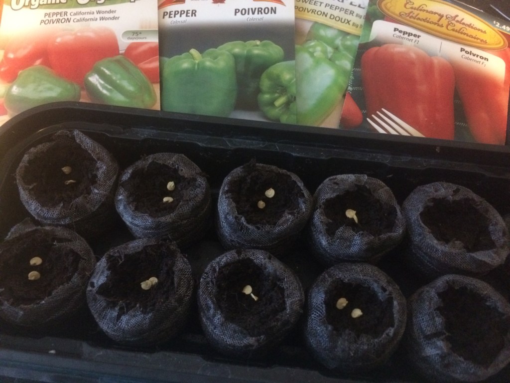 Sweet Peppers (2015)