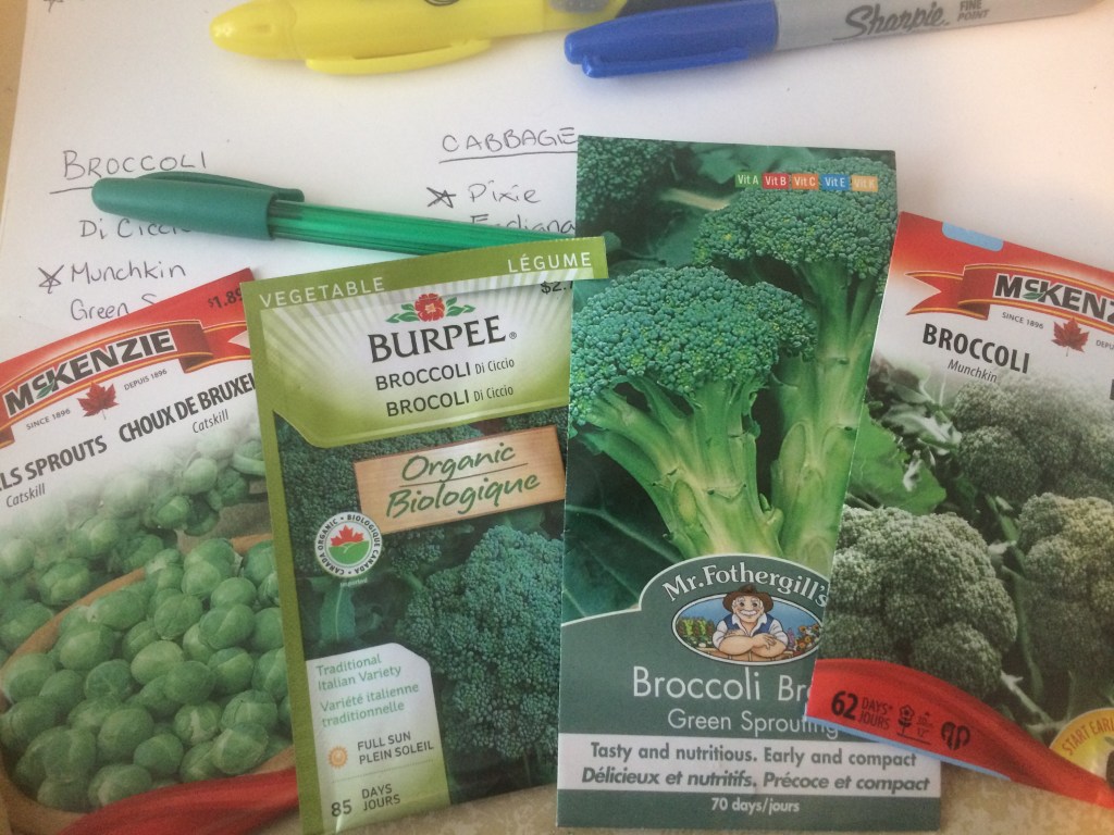 Broccoli & Brussels&nbsp;Sprouts