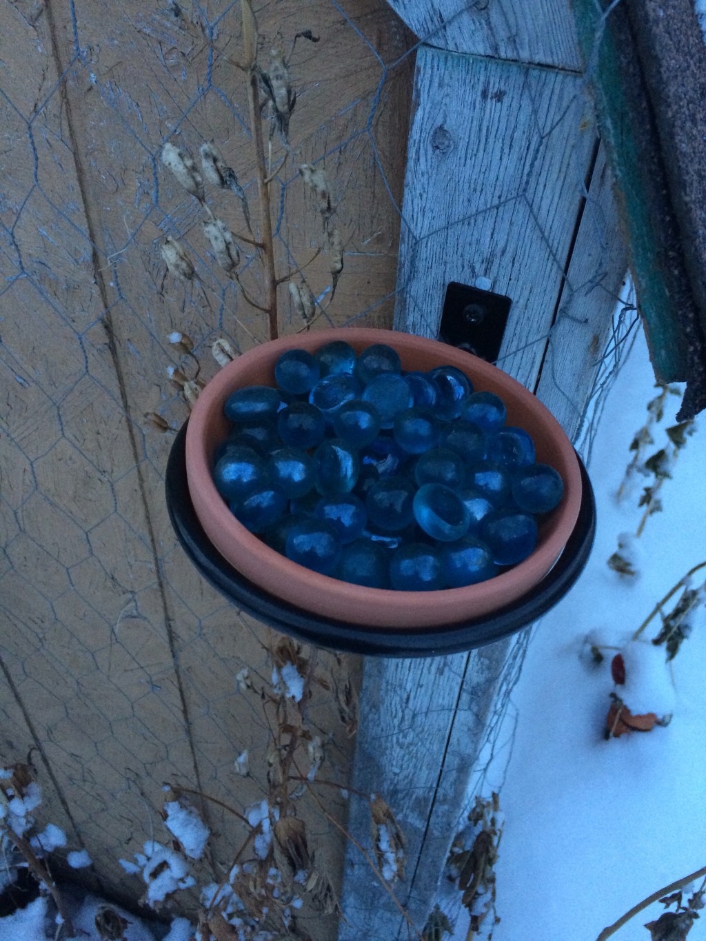 Making a Bee&nbsp;Waterer