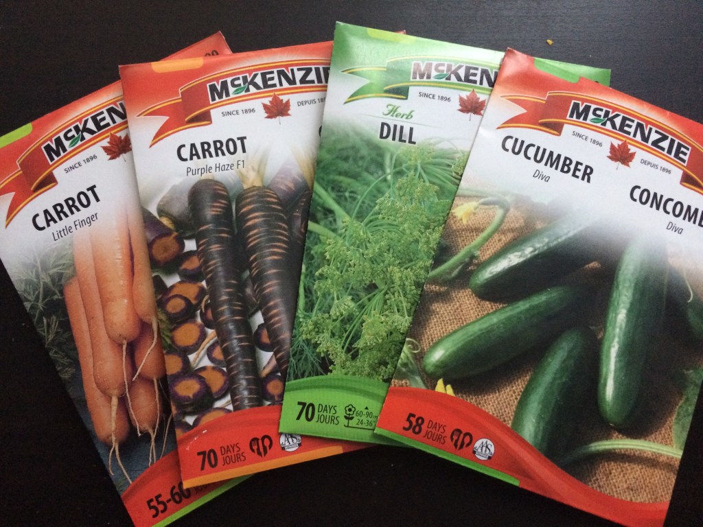 Little February Update