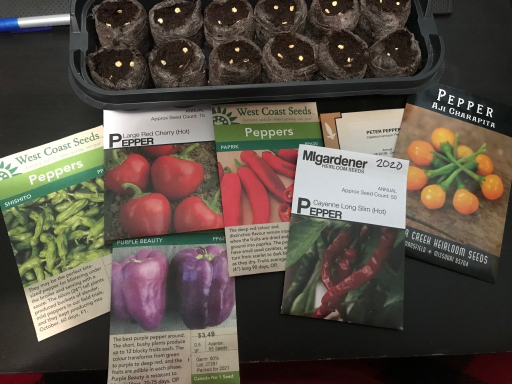 Peppers for 2021
